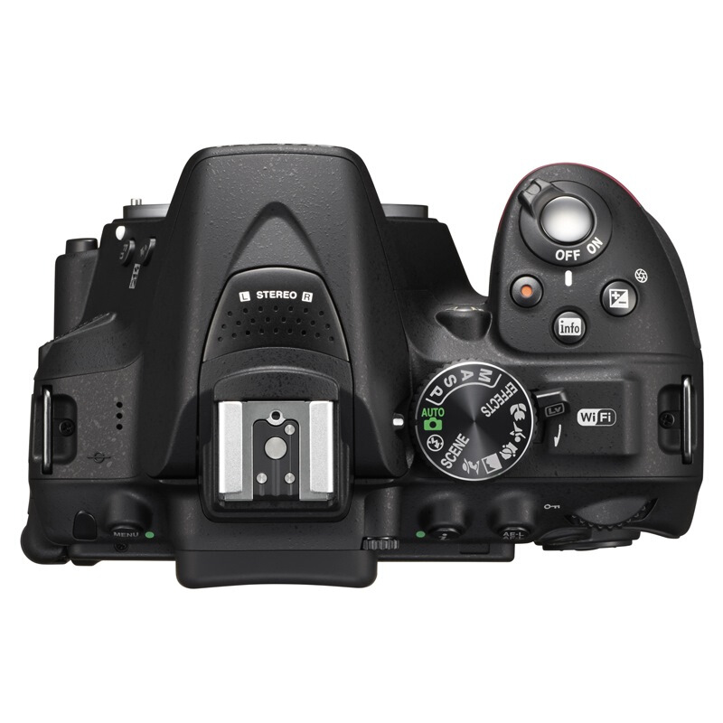尼康（Nikon） D5300 入門單反數(shù)碼照相機(機身)_http://02394.cn/img/images/C201902/1551162975369.jpg