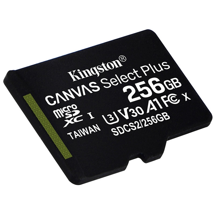 金士頓（Kingston）256GB A1 V30 U3 switch內存卡 讀速100MB/s 寫速85MB/s_http://02394.cn/img/images/C202103/1615967832813.jpg