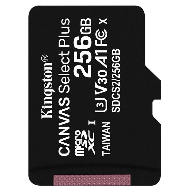 金士頓（Kingston）256GB A1 V30 U3 switch內存卡 讀速100MB/s 寫速85MB/s_http://02394.cn/img/images/C202103/1615967833024.jpg