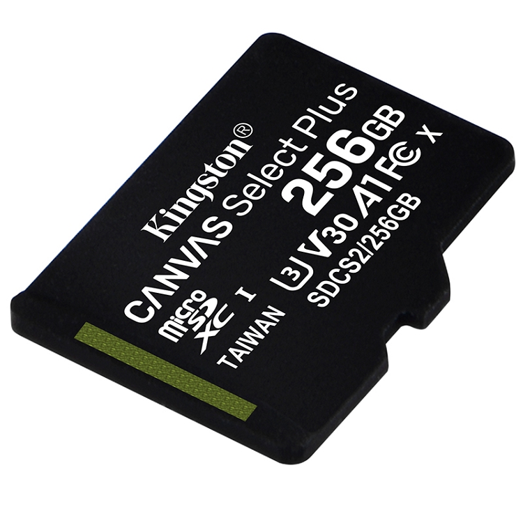 金士頓（Kingston）256GB A1 V30 U3 switch內存卡 讀速100MB/s 寫速85MB/s_http://02394.cn/img/images/C202103/1615967833191.jpg