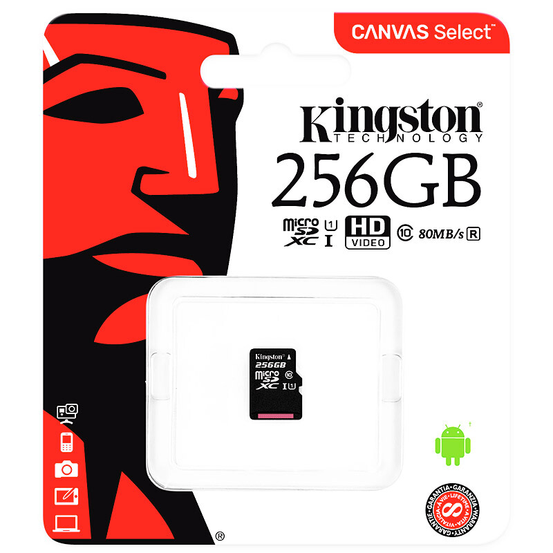 金士頓（Kingston） 內(nèi)存卡 高速行車記錄儀 TF(Micro SD) Class10 UHS-I 手機存儲卡（256GB）_http://02394.cn/img/sp/276/1a1ace5a-3a3a-428e-8282-f54d10551aa5.jpg