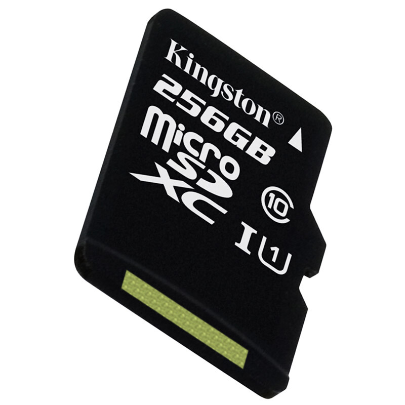 金士頓（Kingston） 內(nèi)存卡 高速行車記錄儀 TF(Micro SD) Class10 UHS-I 手機存儲卡（256GB）_http://02394.cn/img/sp/276/995ff218-89ff-43c3-80c2-5bbb9e5e09a6.jpg