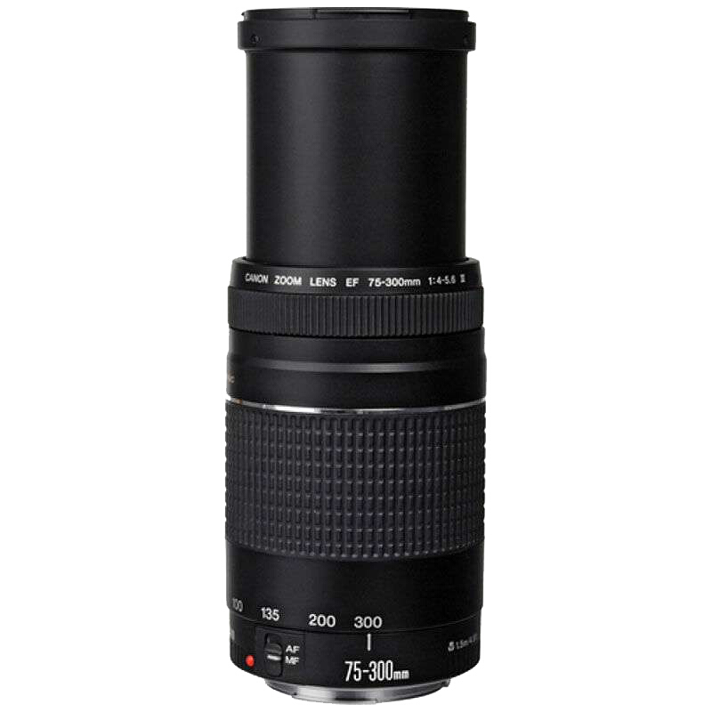 佳能（Canon） EF 75-300mm f/4-5.6 III 遠攝變焦鏡頭_http://02394.cn/img/sp/320/29d07ab1-4445-4bc3-a150-1a321668acf4.jpg