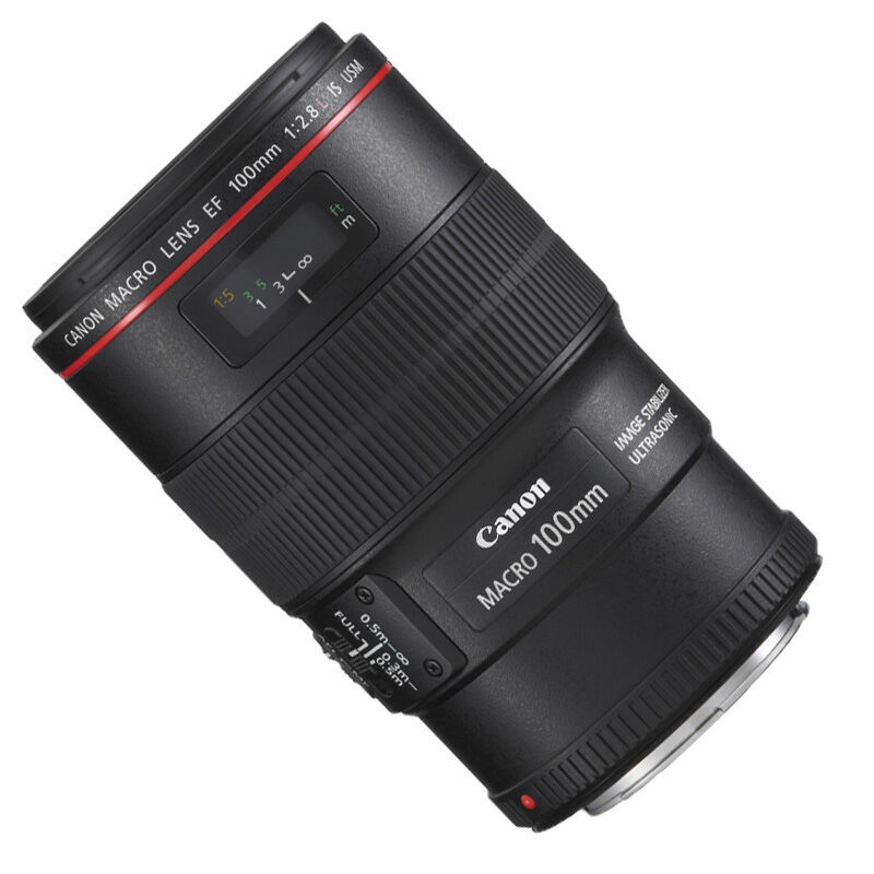 佳能（Canon） EF 100mm f/2.8L IS USM 微距鏡頭_http://02394.cn/img/sp/320/d461e49a-1ad3-4d1e-aa6d-69e5529be7aa.jpg