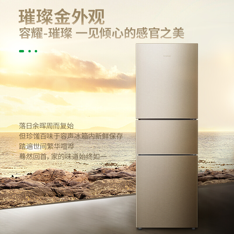 容聲(Ronshen) BCD-252WD11NPA 252升 三門冰箱_http://02394.cn/img/sp/331/eca77551-6cb8-4042-82e3-11dd9ab699ec.jpg