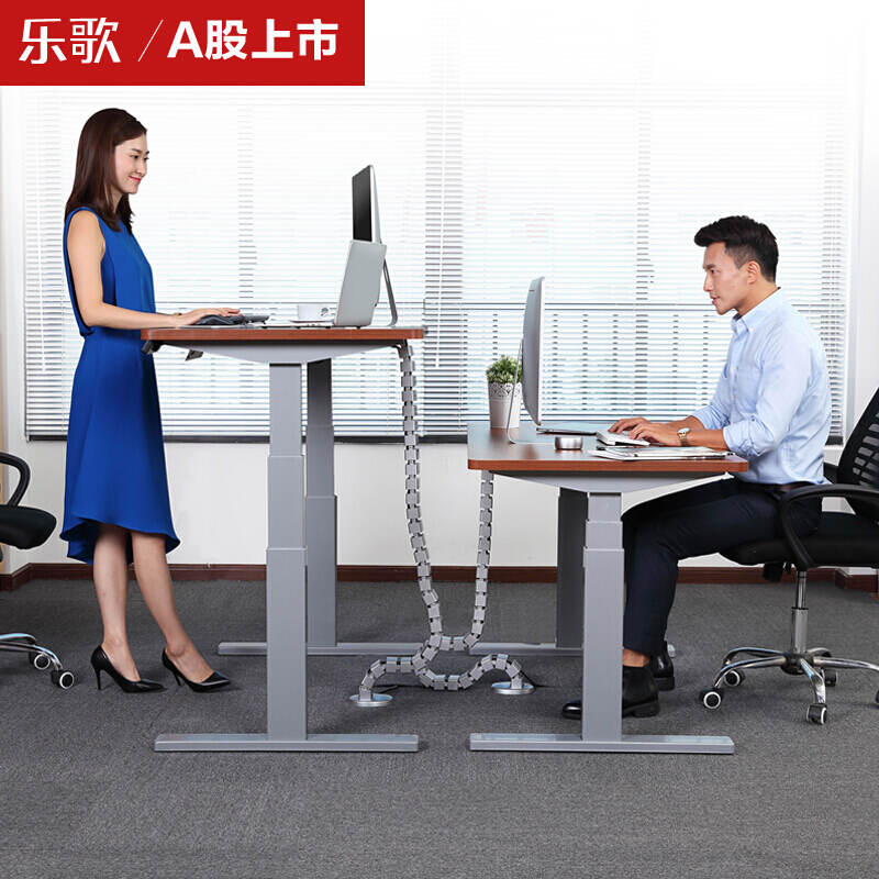樂歌（Loctek） E3 呵護(hù)腰椎站立辦公電動(dòng)升降桌/立柱3節(jié) (凹型1400*700mm) _http://02394.cn/img/sp/361/4d454ae4-6e4a-46db-a54f-aadb0317c53e.jpg