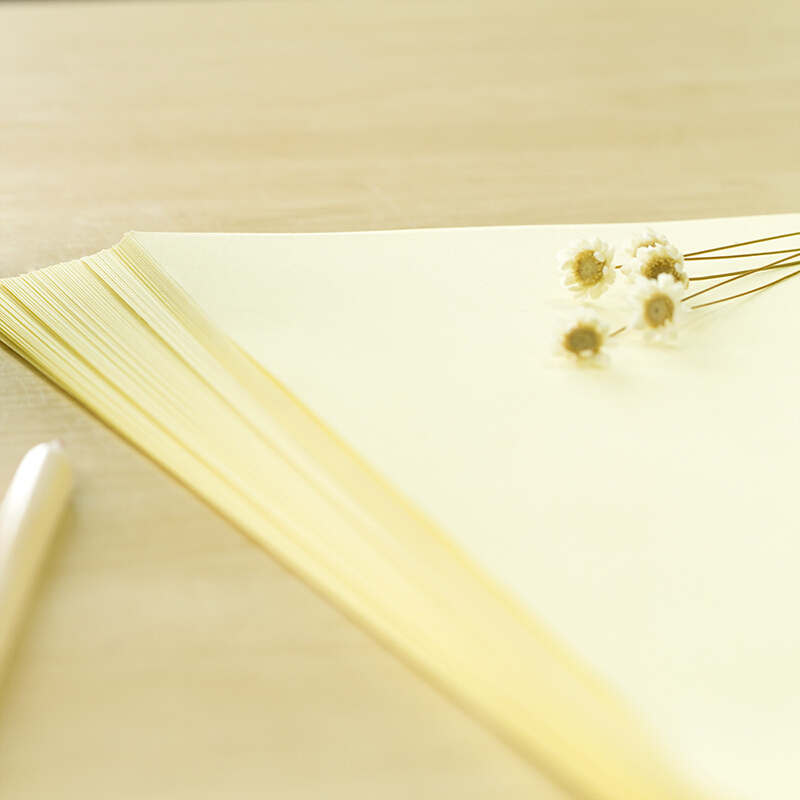得力（deli） 7391 彩色復(fù)印紙 A4/80g 100張/包（淺黃）_http://02394.cn/img/sp/81/a3154df9-6b0c-4b62-b2a8-cbb01eaac7ef.jpg