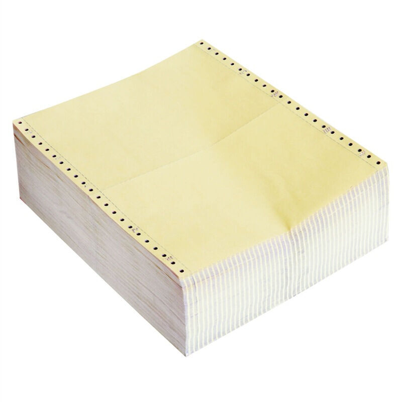 得力（deli） L241-1 萊茵河一聯(lián)電腦打印紙（整張全白不撕邊 1000頁/箱）_http://02394.cn/img/sp/81/b55f3056-bc4f-48c9-a3f5-03d1ba15dc54.jpg